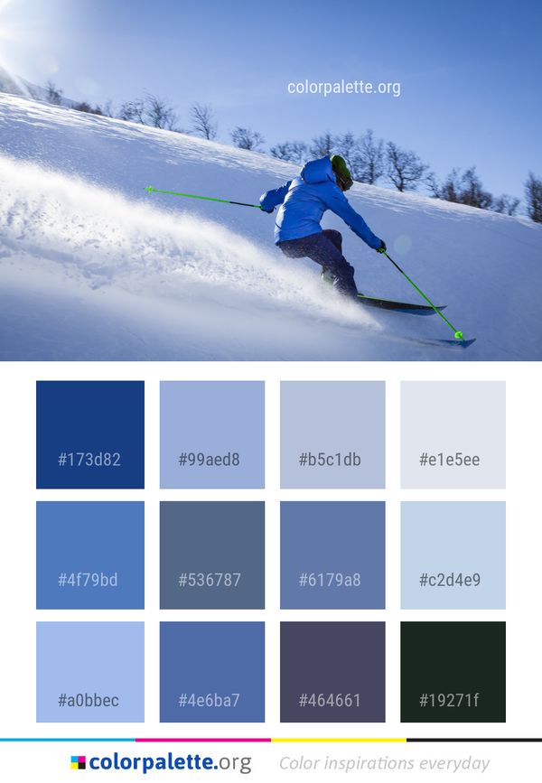 Ski Pole Skiing Color Palette