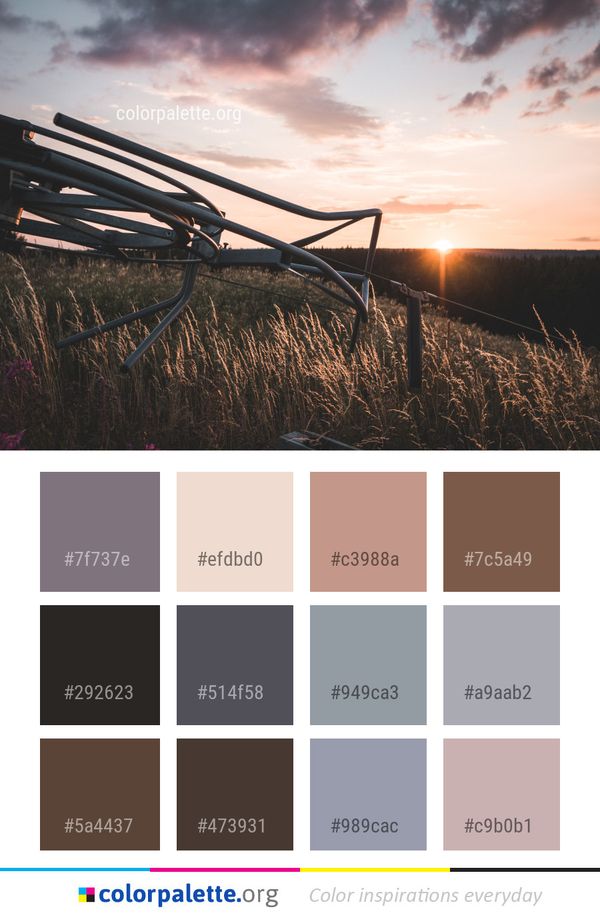 Sky Cloud Horizon Color Palette