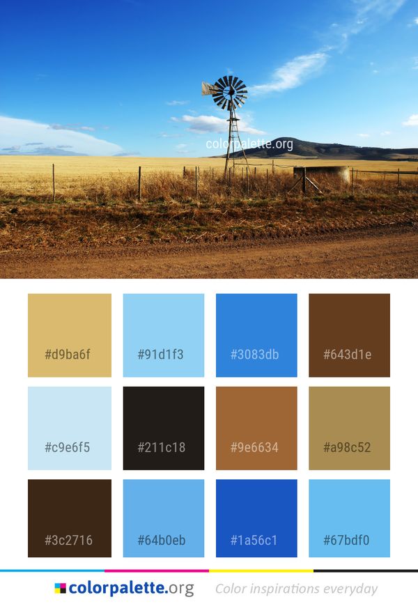 Sky Grassland Ecosystem Color Palette