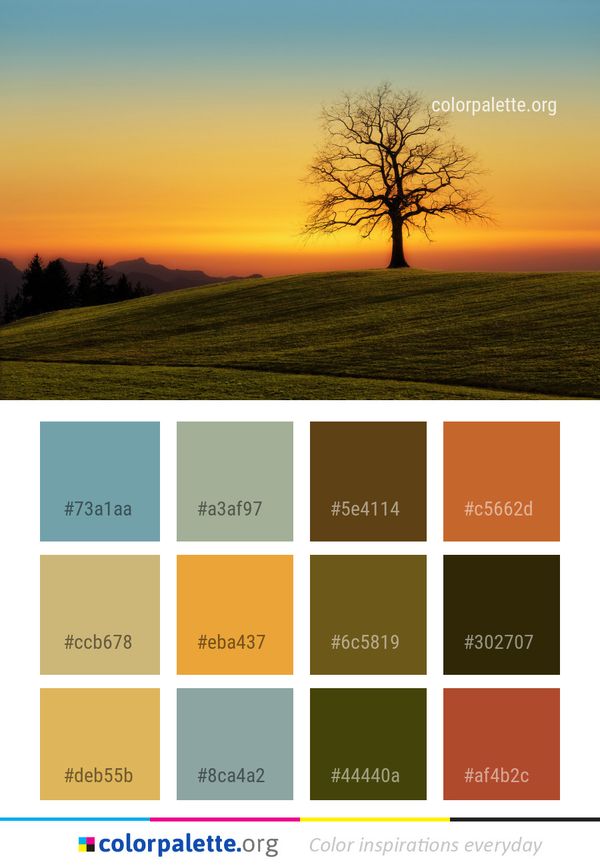 Sky Nature Tree Color Palette