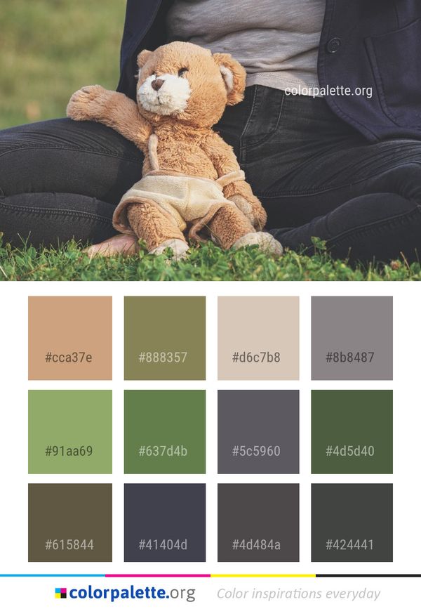 Stuffed Toy Teddy Bear Grass Color Palette