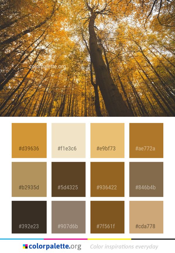 Tree Nature Yellow Color Palette