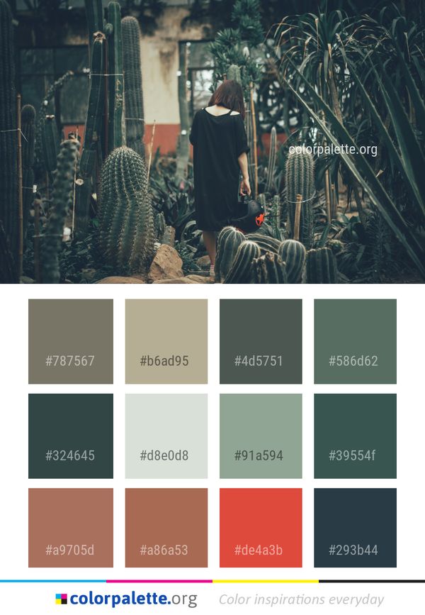 Tree Plant Flower Color Palette