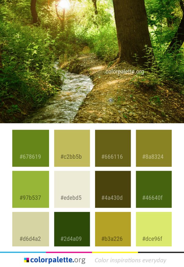 Vegetation Nature Woodland Color Palette