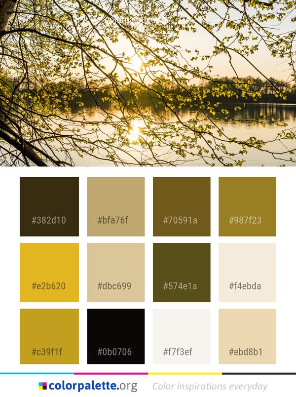 Water Branch Reflection Color Palette