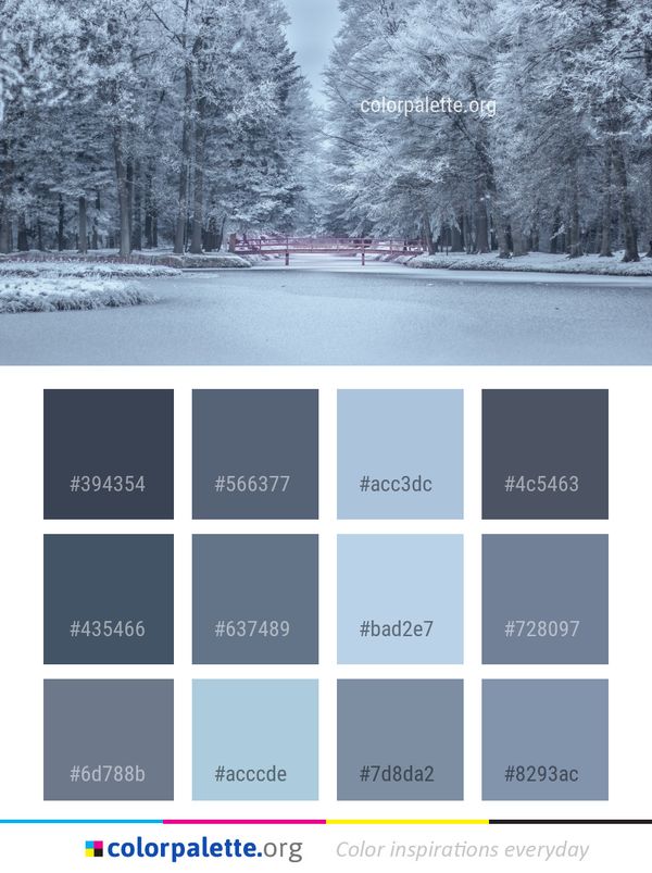 Winter Snow Nature Color Palette