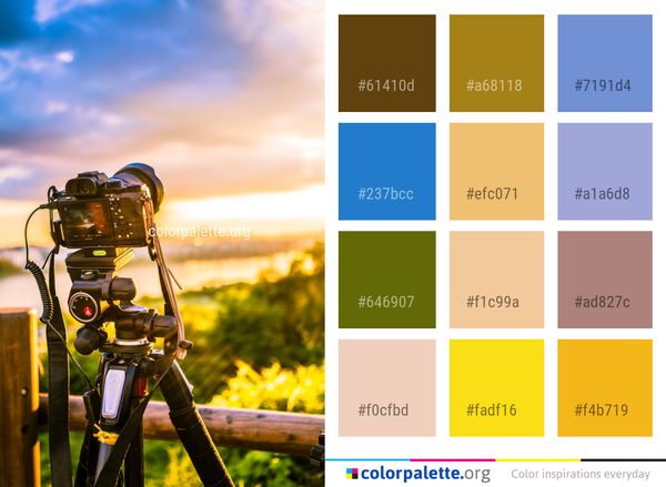 Yellow Sky Grass Color Palette