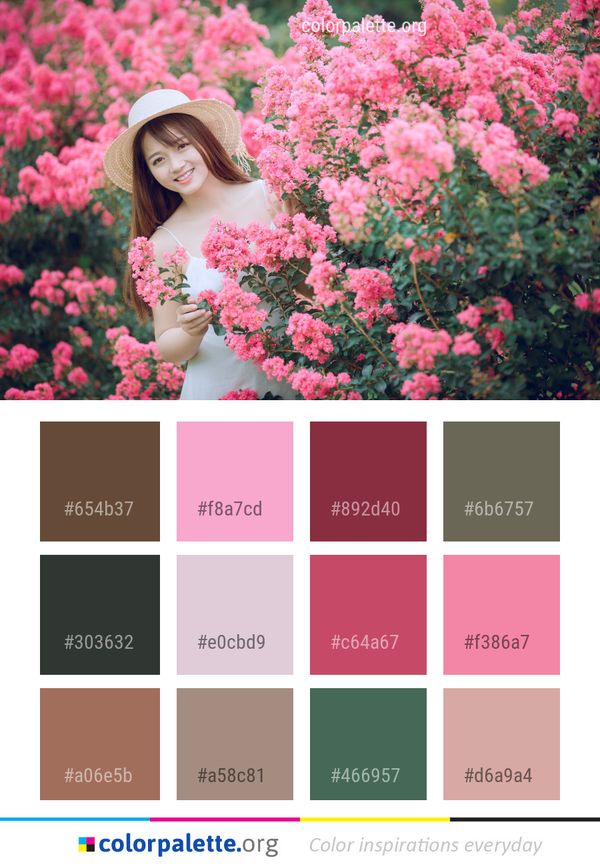 Flower Pink Plant Color Palette