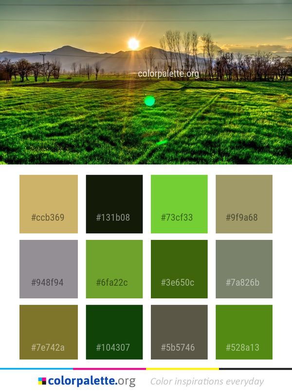 Nature Field Grassland Color Palette