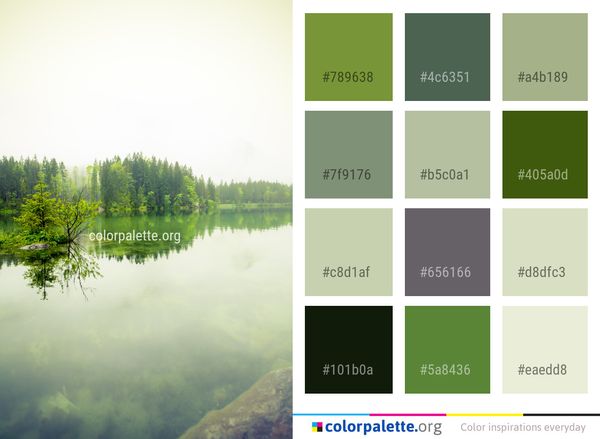 Reflection Water Nature Color Palette