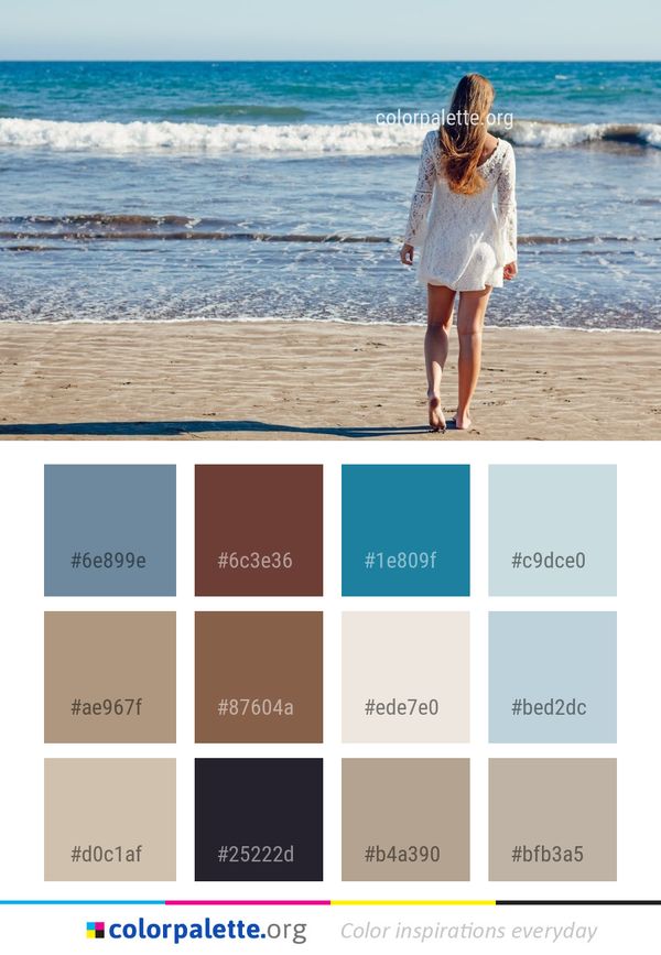 Sea Body Of Water Beach Color Palette