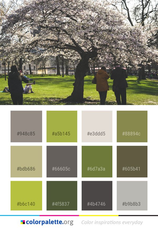 Tree Plant Flower Color Palette