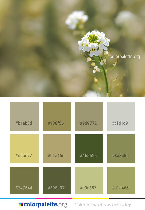 Flower Flora Spring Color Palette