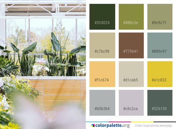 Flower Plant Flora Color Palette