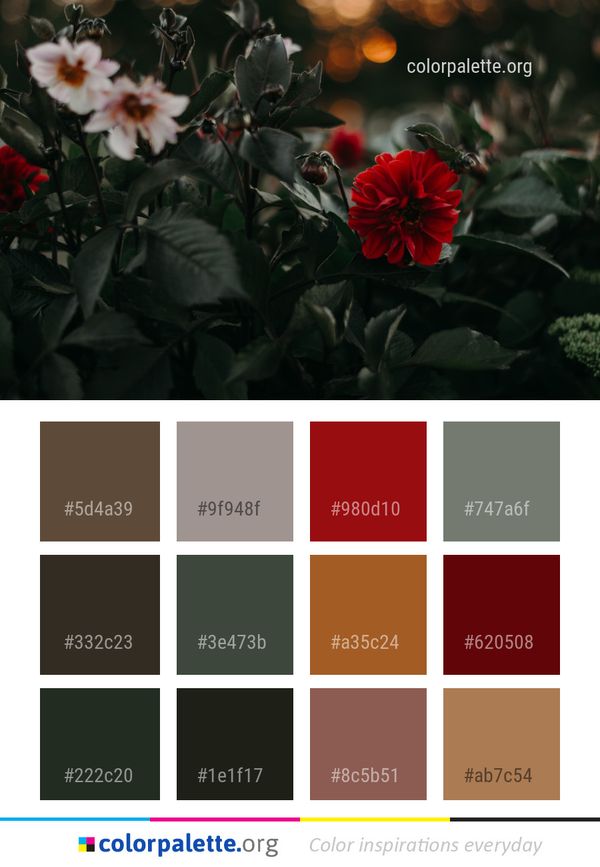 Flower Plant Red Color Palette