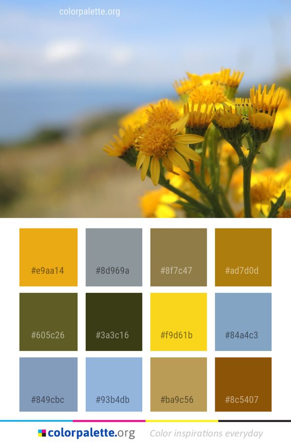 Flower Yellow Sky Color Palette