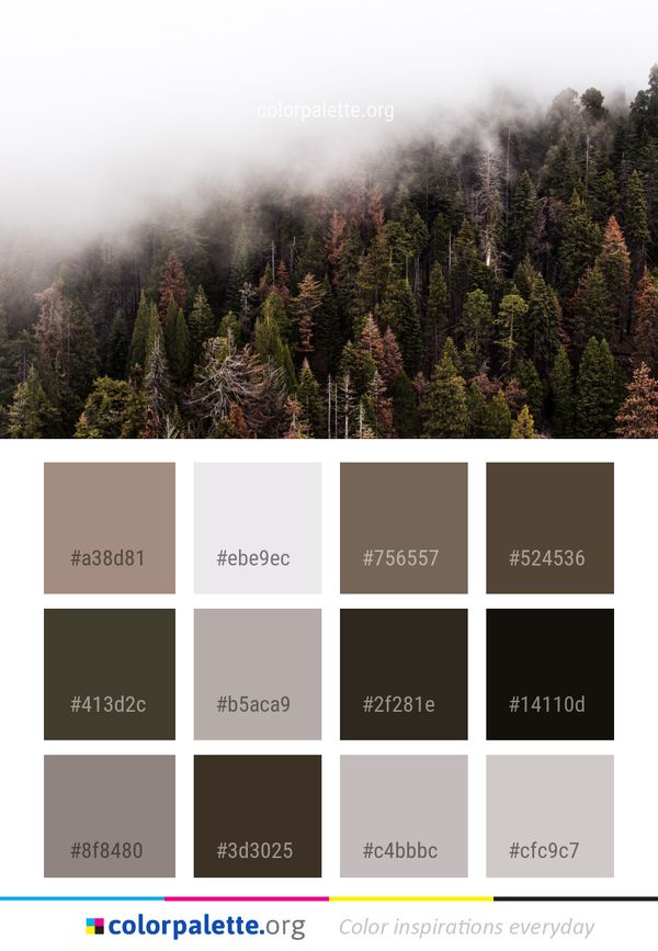Nature Vegetation Tree Color Palette