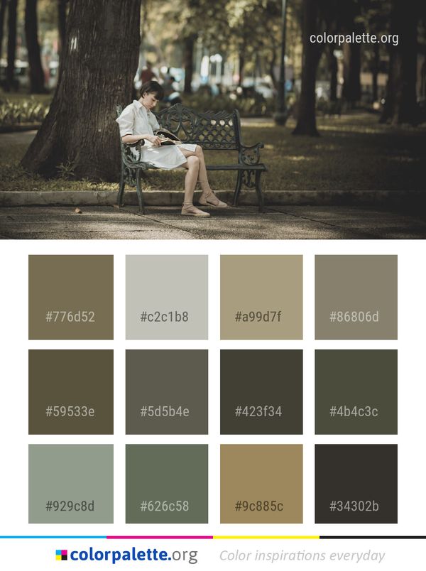 Photograph Sitting Tree Color Palette