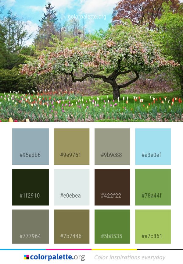 Plant Botanical Garden Flower Color Palette