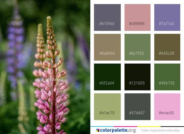 Plant Flower Flora Color Palette