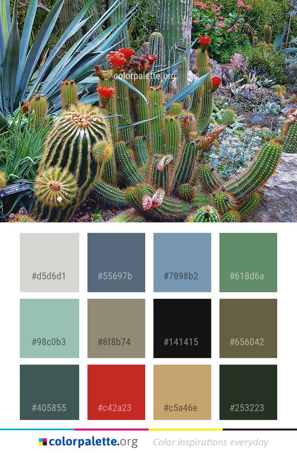 Plant Flowering Vegetation Color Palette