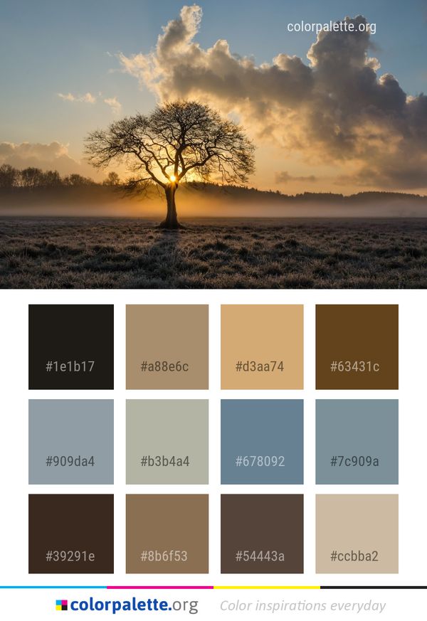 Sky Tree Dawn Color Palette