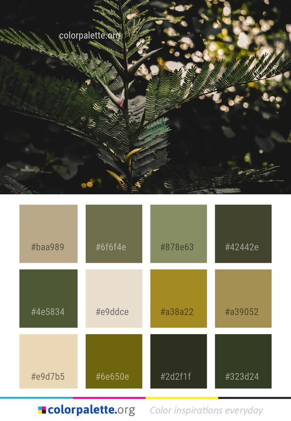 Vegetation Plant Leaf Color Palette