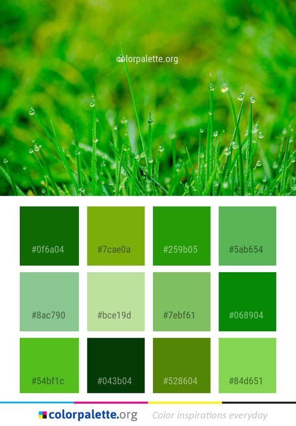 Water Green Dew Color Palette
