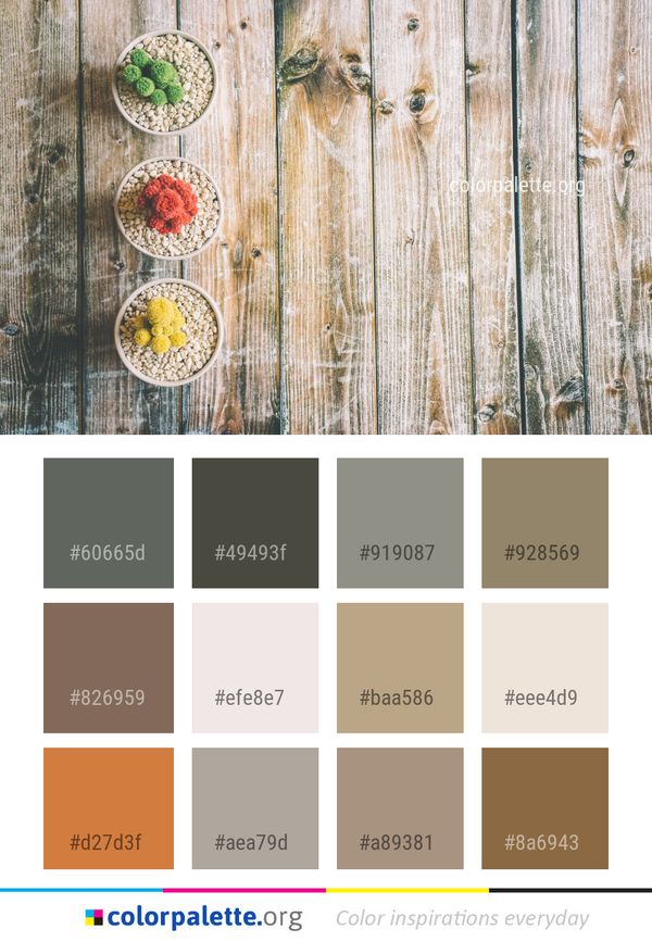 Wood Still Life Photography Color Palette
