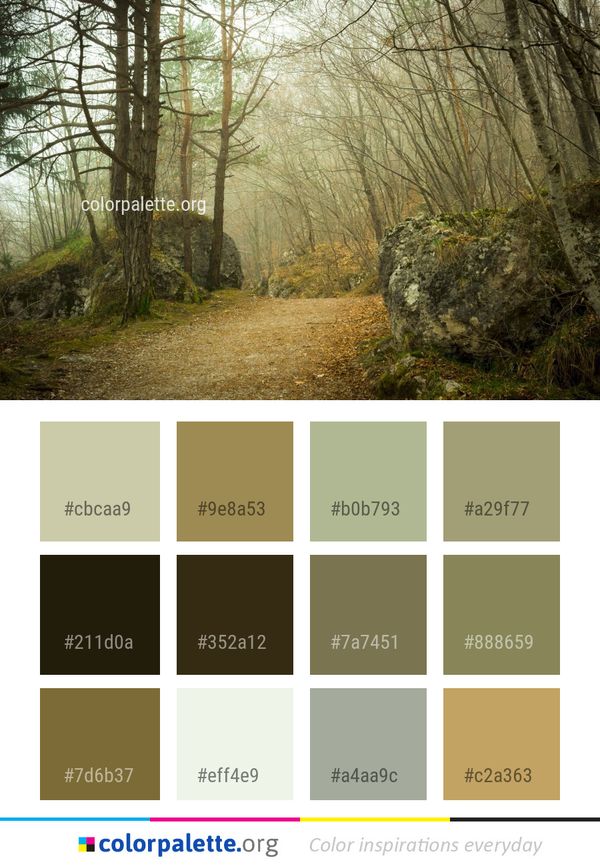 Woodland Path Forest Color Palette