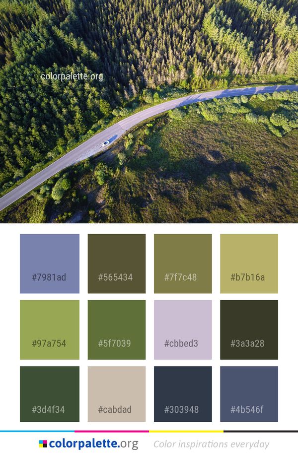 Aerial Photography Road Nature Reserve Color Palette