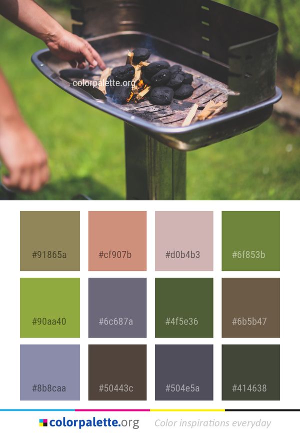 Barbecue Outdoor Grill Color Palette