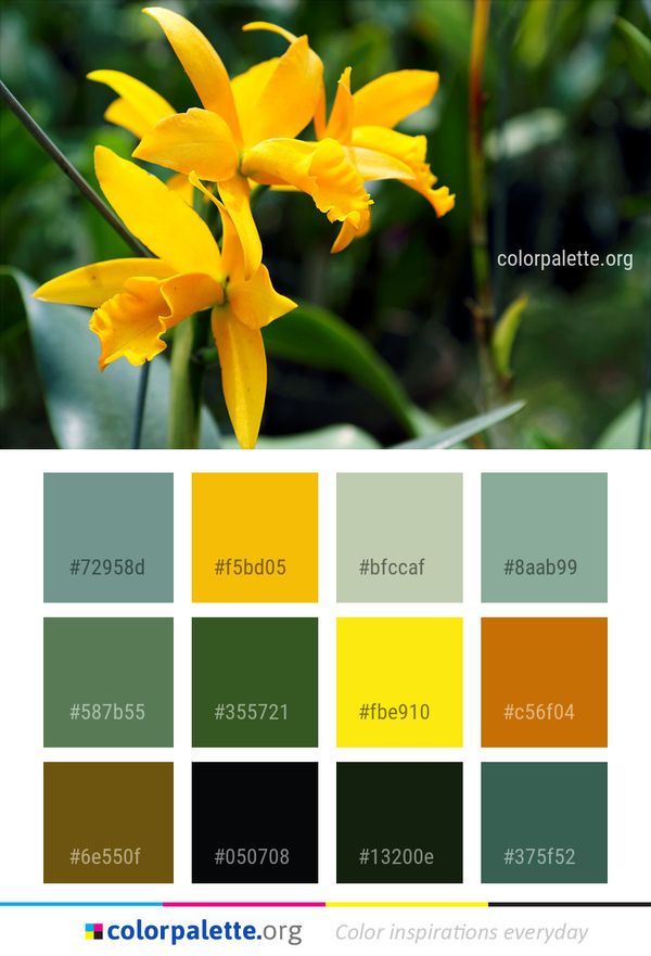 Flower Plant Yellow Color Palette