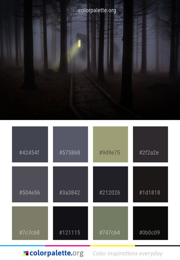 Forest Atmosphere Darkness Color Palette