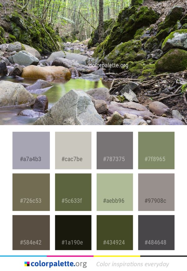 Stream Water Nature Color Palette