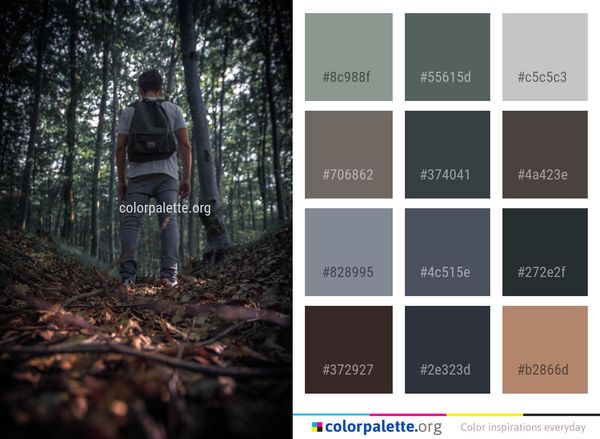 Tree Nature Woodland Color Palette