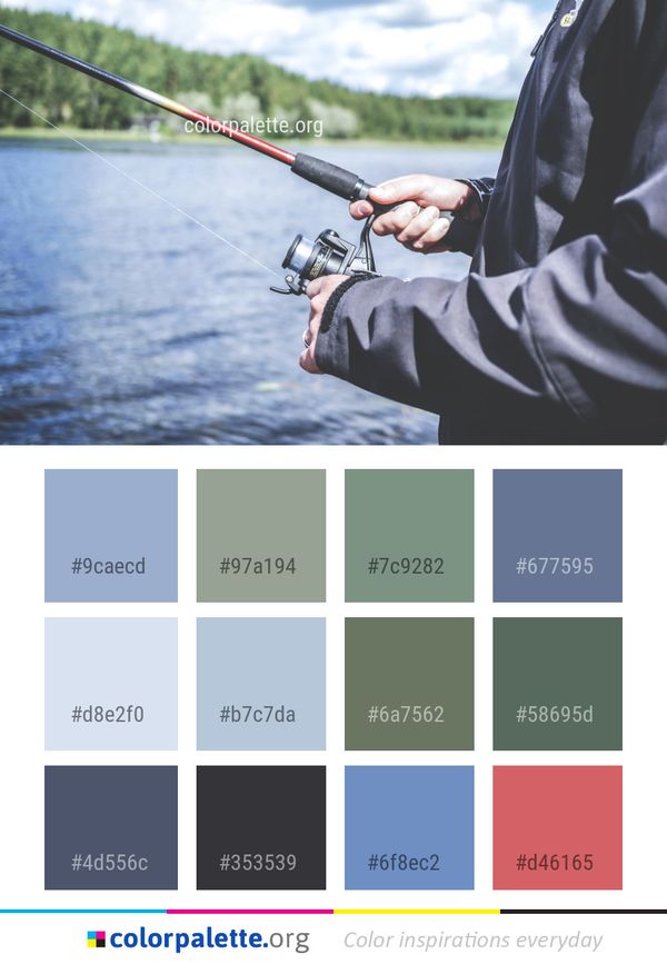 Fishing Rod Water Casting Color Palette