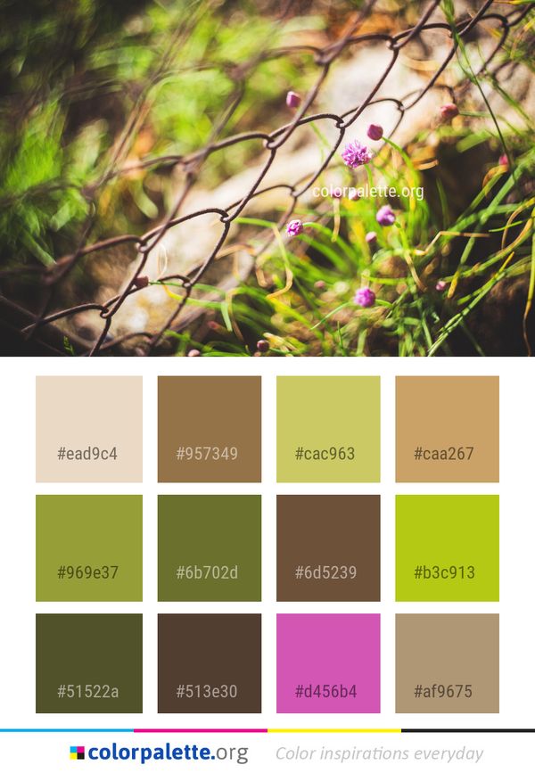 Flora Plant Leaf Color Palette