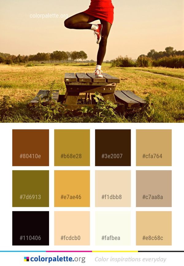 Grass Sky Tree Color Palette