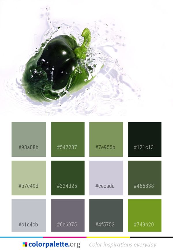 Green Water Produce Color Palette
