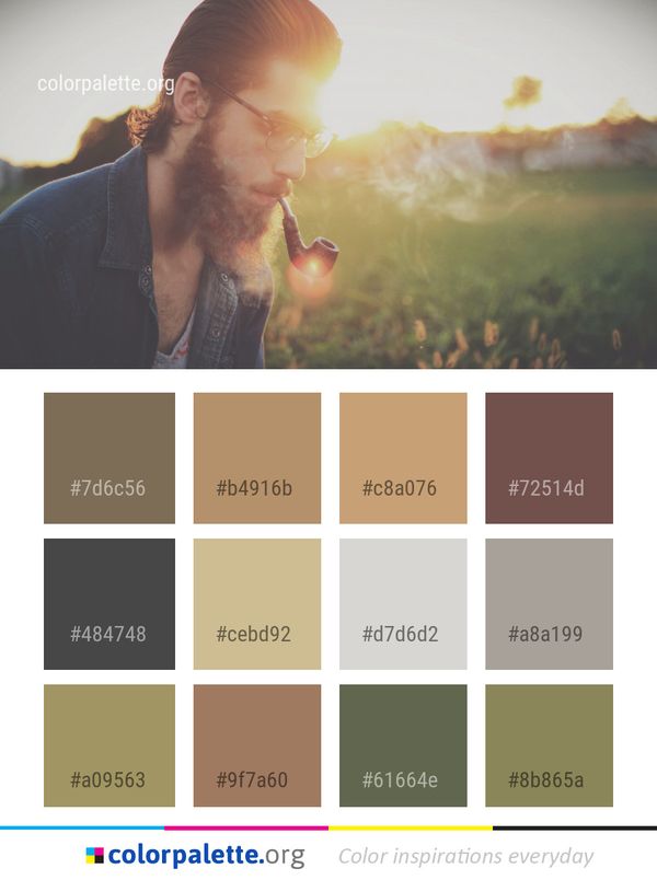 Hair Photograph Yellow Color Palette