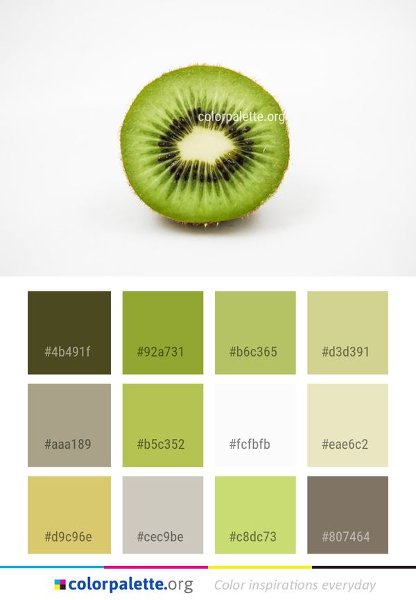 Kiwifruit Fruit Close Up Color Palette