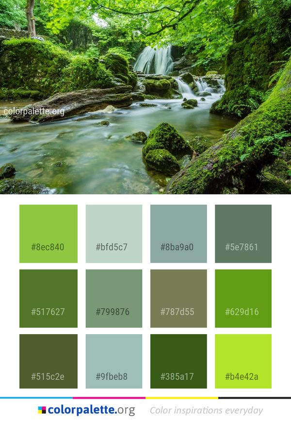 Nature Water Vegetation Color Palette