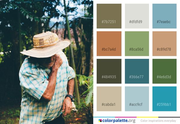 Photograph Clothing Tree Color Palette