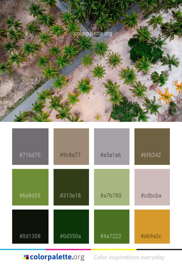 Plant Flora Grass Color Palette