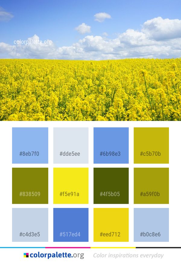 Rapeseed Yellow Canola Color Palette