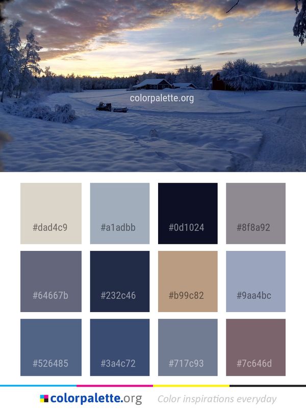 Sky Winter Snow Color Palette