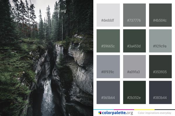 Water Nature Tree Color Palette