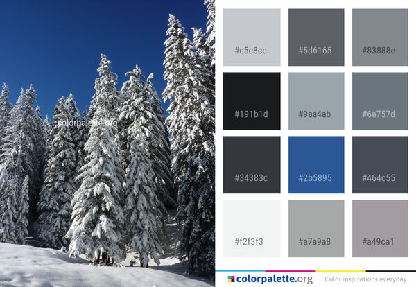 Winter Tree Spruce Color Palette