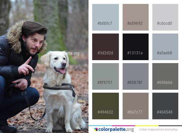 Dog Mammal Vertebrate Color Palette